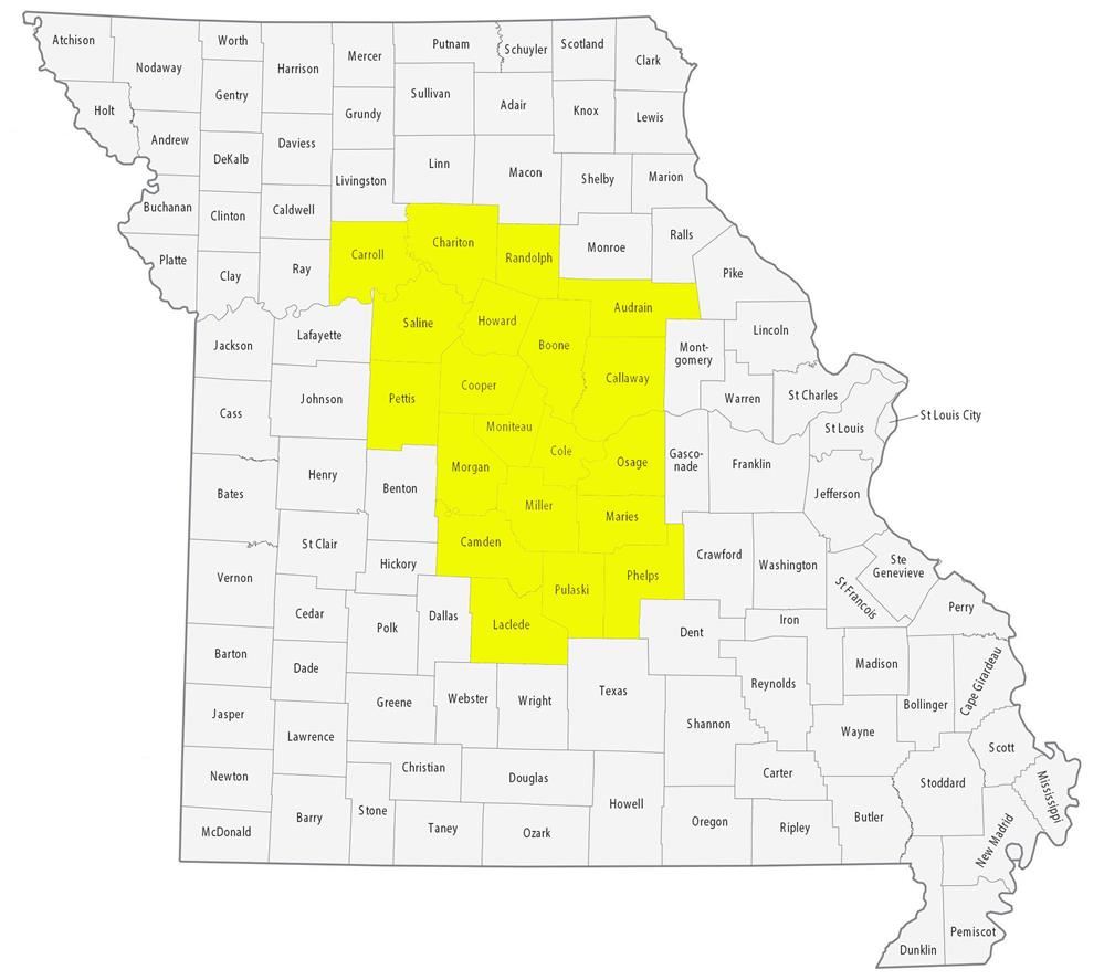 Central Central